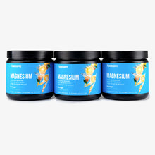 Load image into Gallery viewer, Magnesium Powder 3-Month Supply
