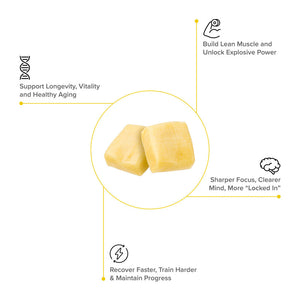 Creatine Monohydrate Chews