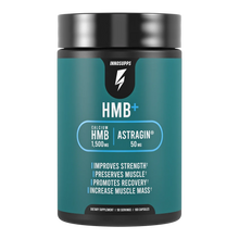 ギャラリービューアに画像をロードします、Performance Shred Stack